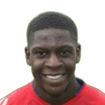 J. Nouble
