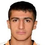 M. Tikdarinejad