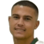 Vinicius Baracioli