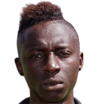 N. Lamine