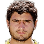 L. Karapetyan