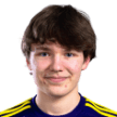 V. Maijanen