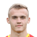 K. Panek