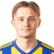 J. Halminen