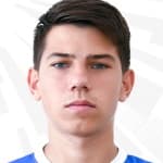 M. Lyamzin