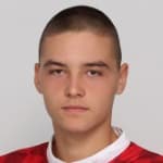 N. Djekovic