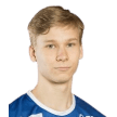 V. Nikulainen