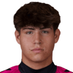 D. Pereira