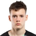 D. Fesyuk