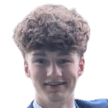 C. Bird