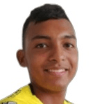 D. Torres