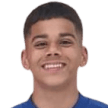 M. Ferreira