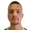 D. Rajic