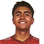 Nicolas Villarroel