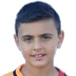 Furkan Ulupınar