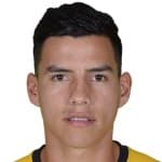 R. Villamizar
