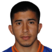 L. Ibarra