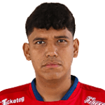 Gustavo Olguín Mansilla