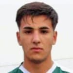 E. Navarrete