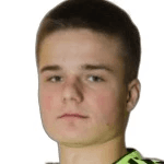 K. Yankovskiy