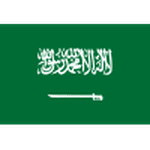 Saudi Arabia logo