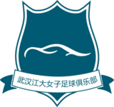 Wuhan Jiangda W