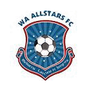 Cape Town ALL Stars logo