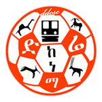 Dire Dawa Kenema logo