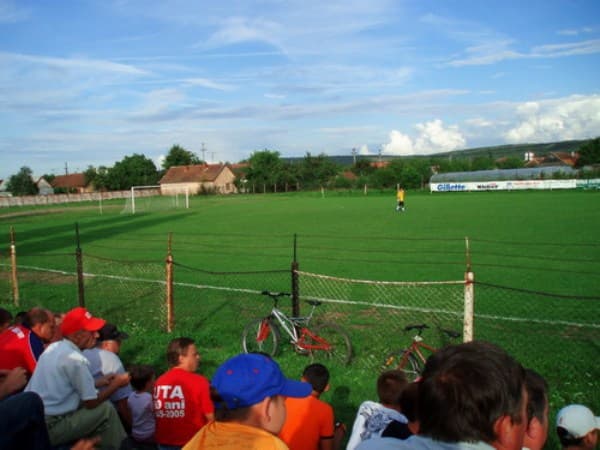 Stadionul Şoimii