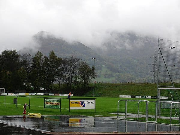 Sportplatz Rheinau