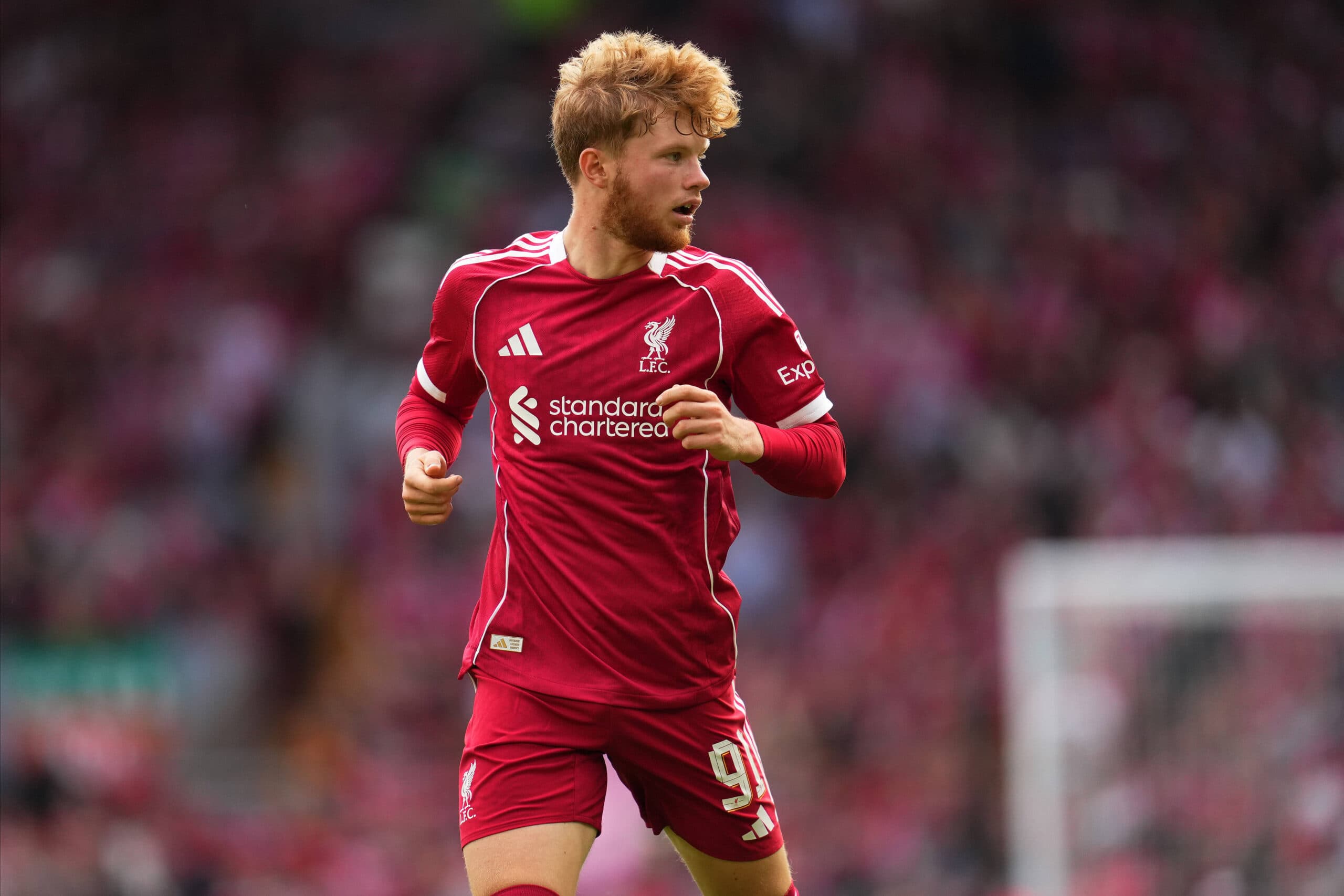 Liverpool Agree Luca Stephenson Sale as Bolton Add Versatile Talent