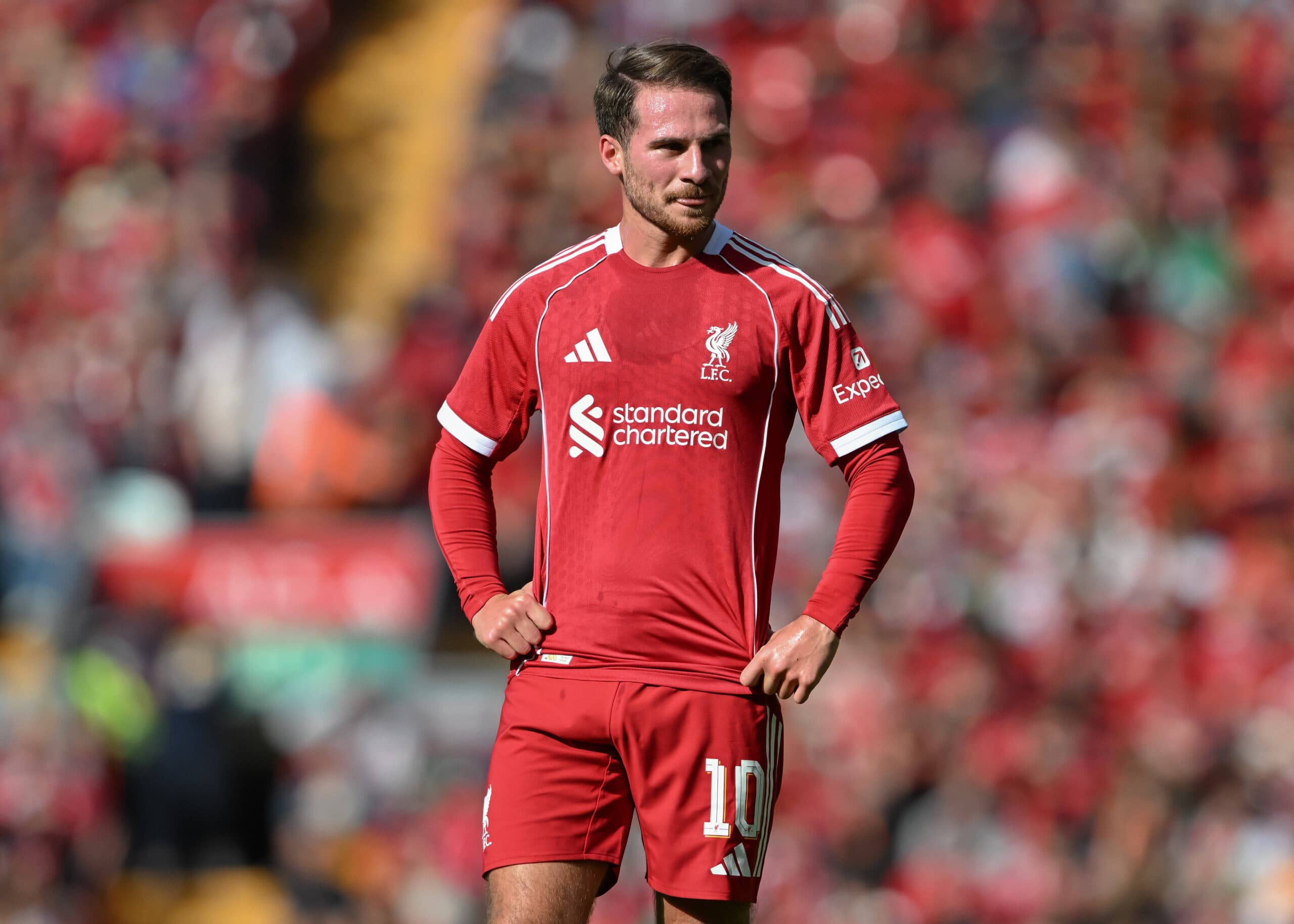 Liverpool midfield update: Alexis Mac Allister, Curtis Jones and more