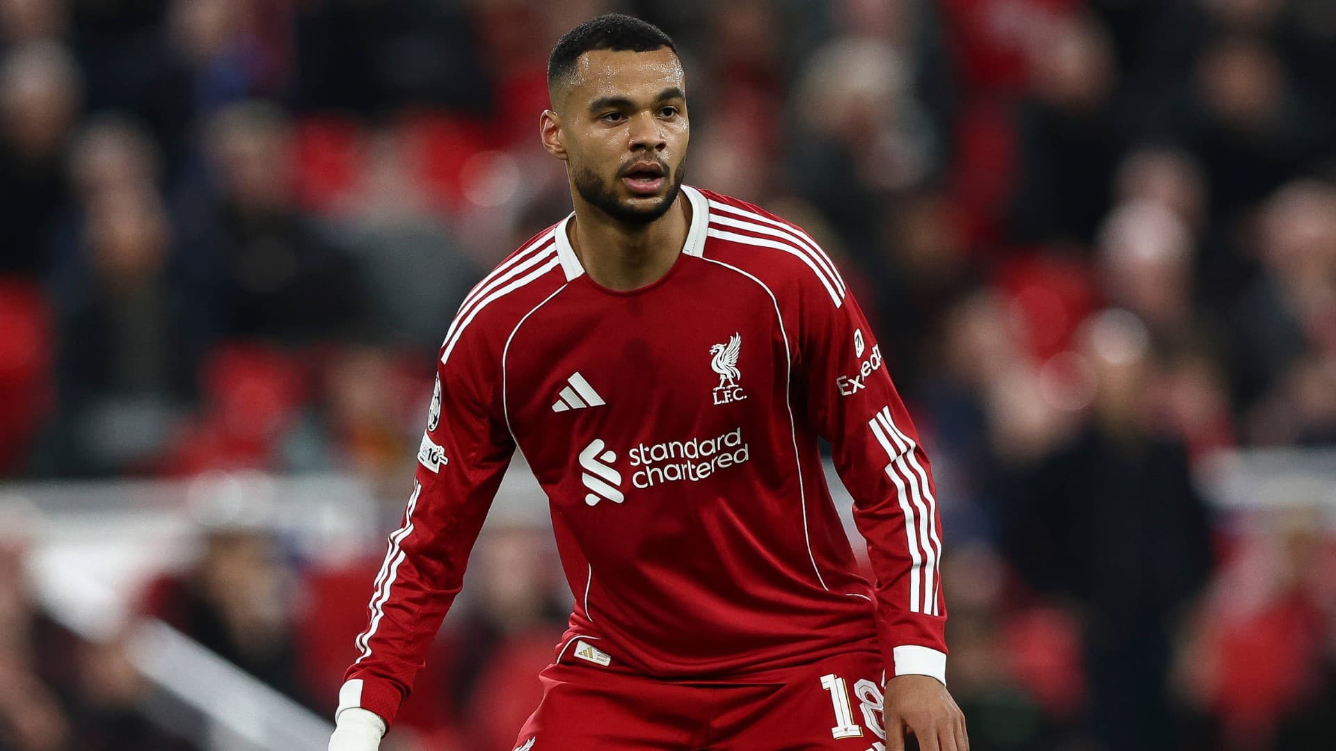 Richard Hughes takes Cody Gakpo transfer decision amid interest from Spurs and Man City