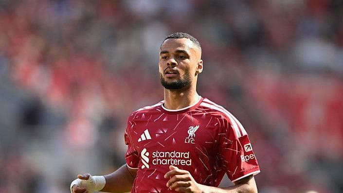 Why Tottenham want Liverpool's Gakpo