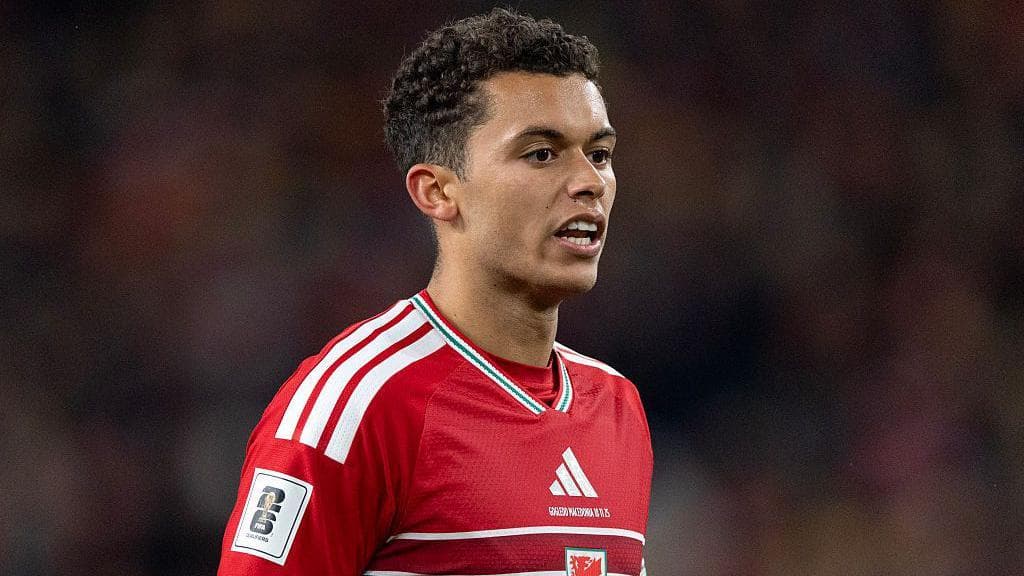 Johnson tipped to thrive under Moyes at Everton