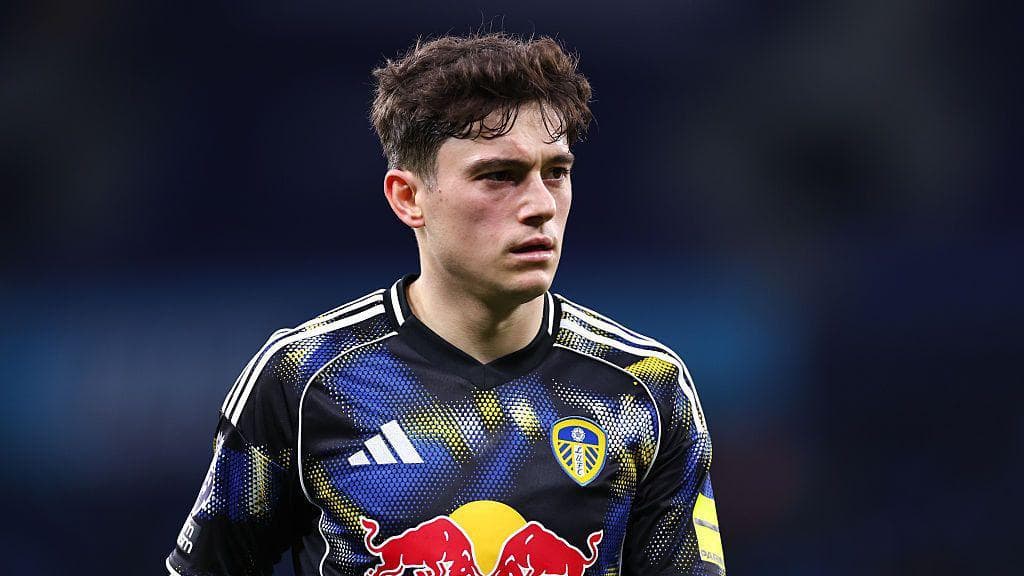 'Leeds want to become that established Premier League team' - James