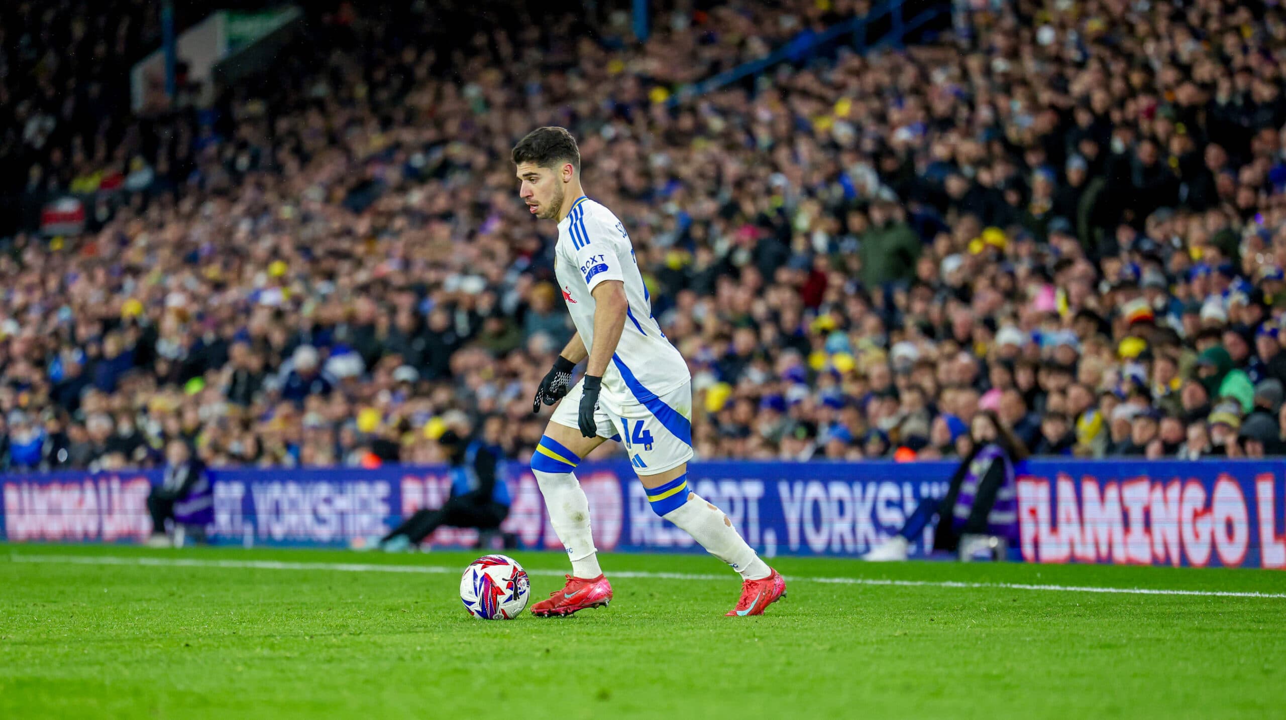 Report: Spurs attacker set for Championship move