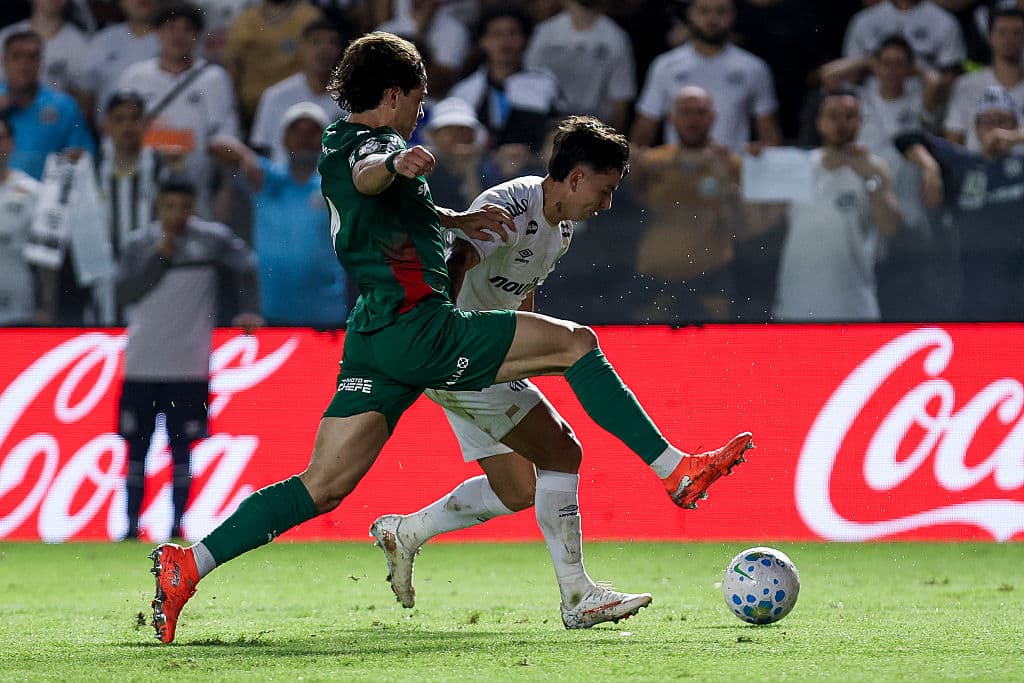 Palmeiras use advantage, knock out Santos in Copa do Brasil