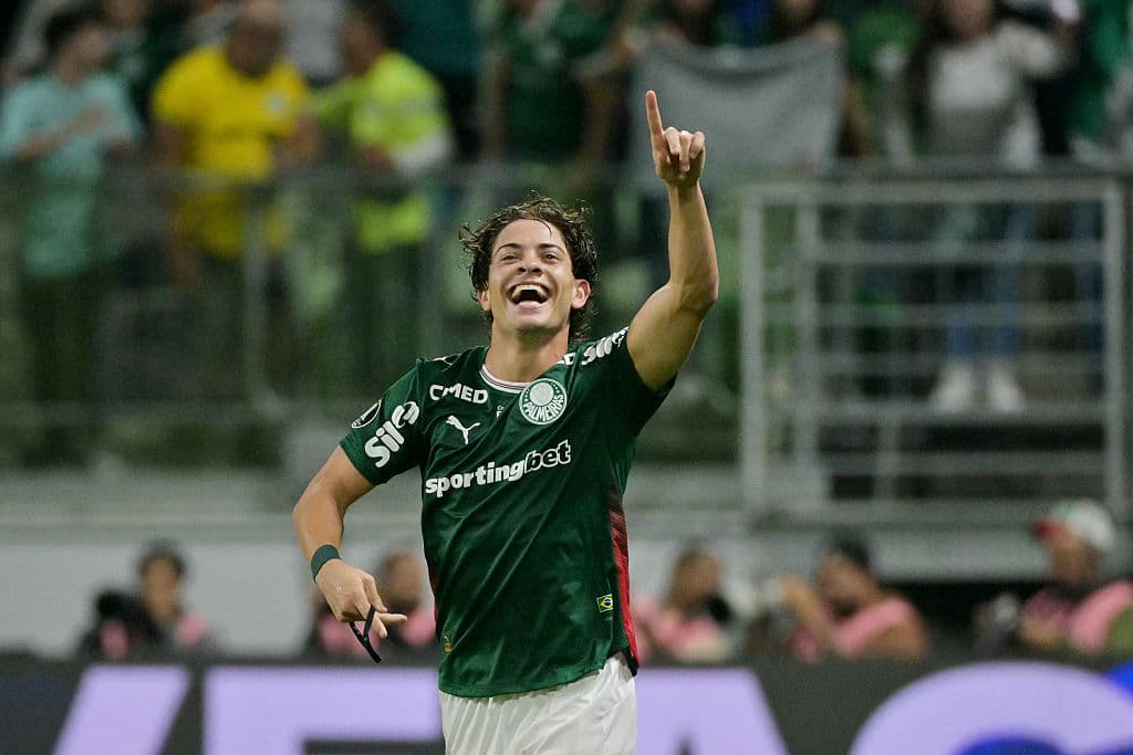 Palmeiras take slender first-leg lead over LDU in Libertadores 🎥
