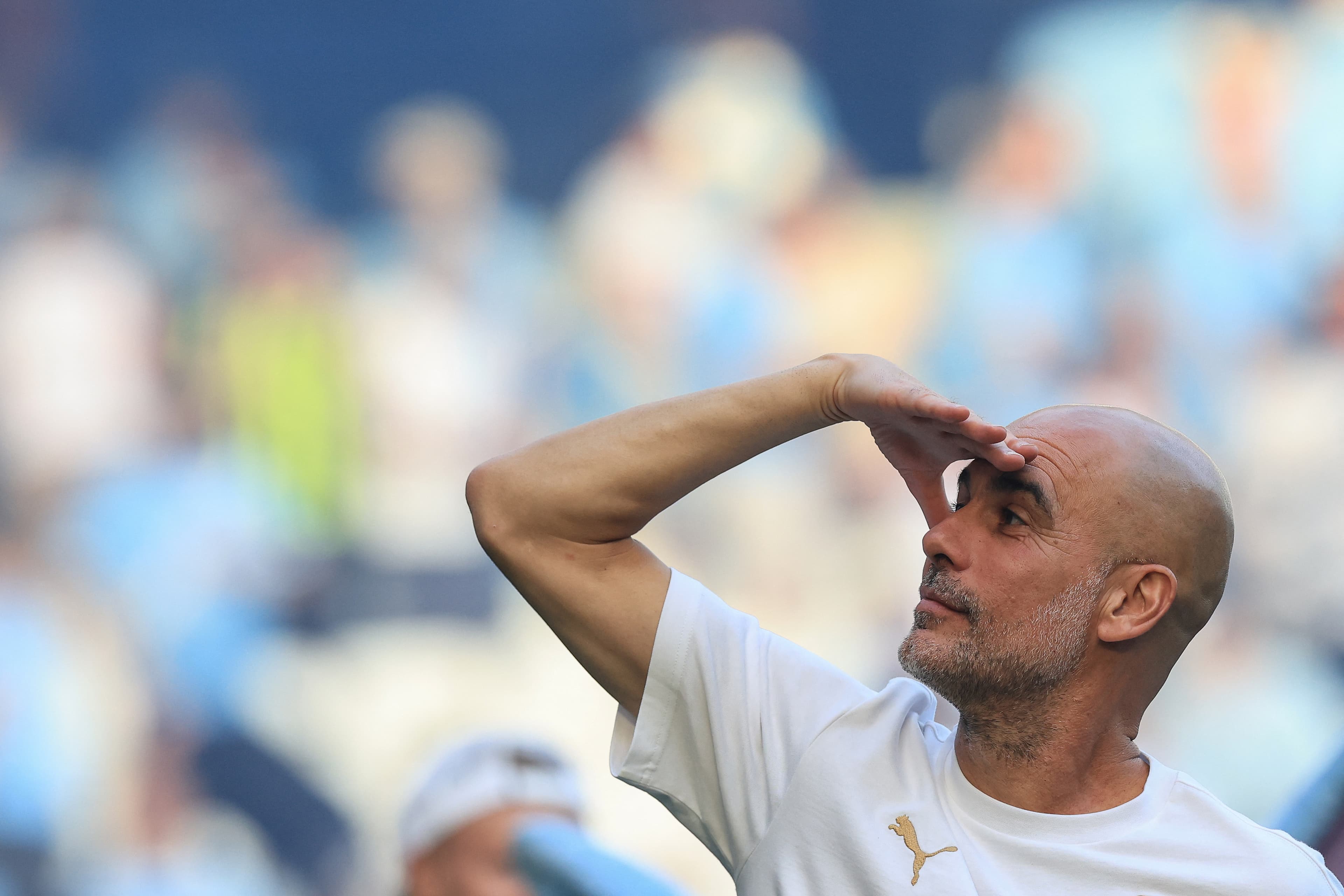 Italy offer manager's job to Pep Guardiola