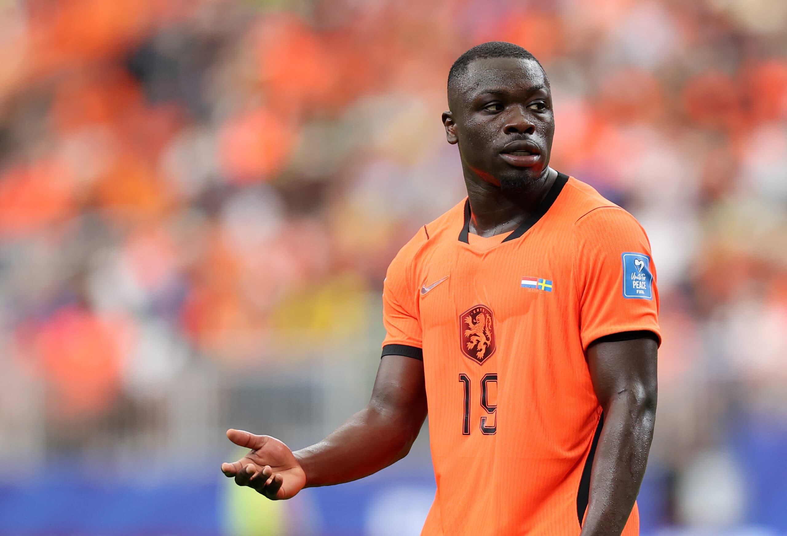 Tottenham Hotspur Urged To Move In For This Sunderland Striker: Decent Choice For De Zerbi?