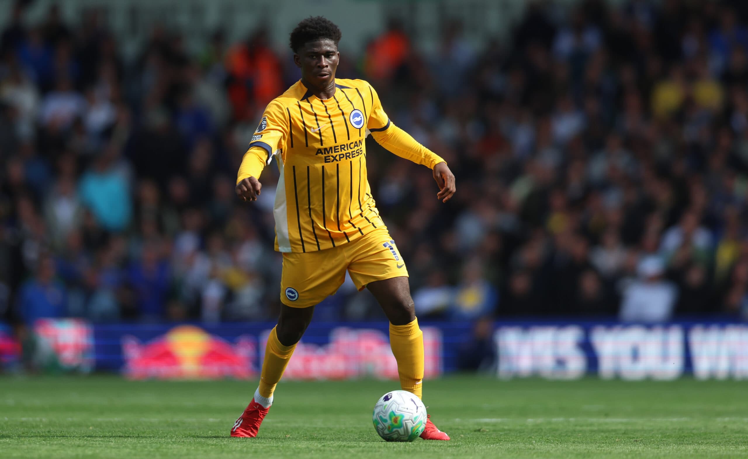 Update On Manchester United And Their Pursuit Of This Brighton Midfielder: What Should Carrick Do?