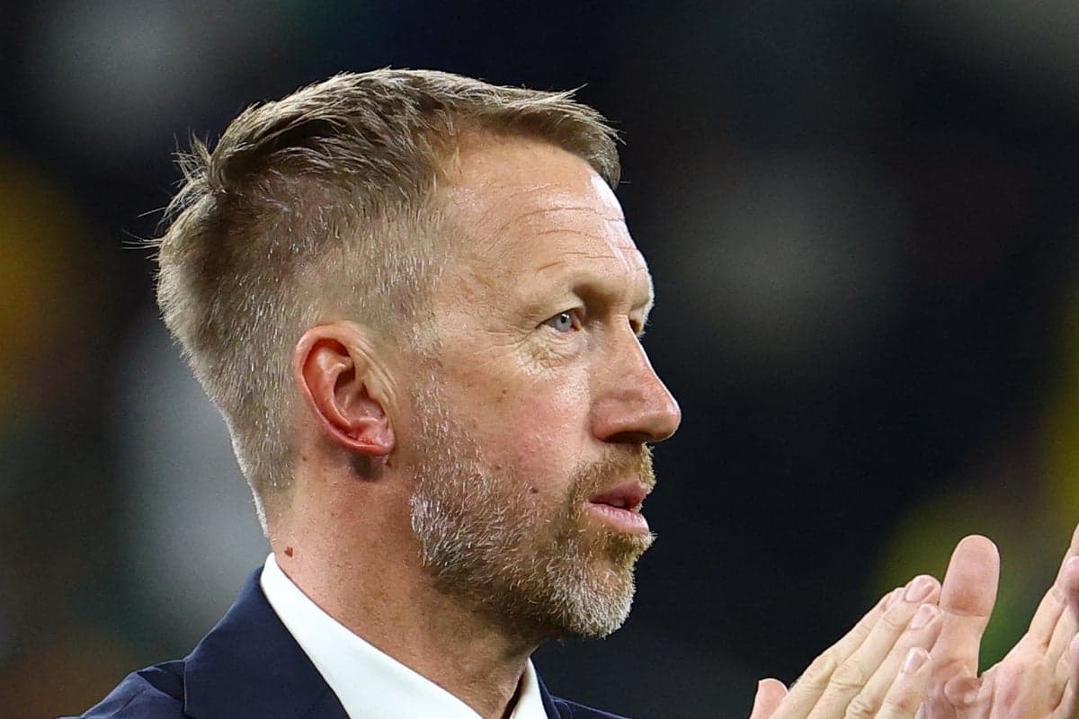 ‘Someone scratched me, or bit me’: Graham Potter reacts to bizarre injury in Sweden’s World Cup celebrations