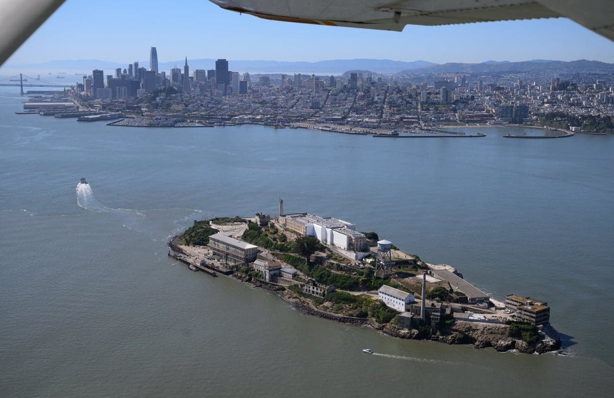 Driverless taxis, sports fanatics and an Alcatraz seagull: Three weeks in the US covering the World Cup