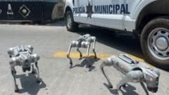 Robodogs and helicopters: One Mexican city's approach to World Cup security
