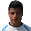 M. Alegre
