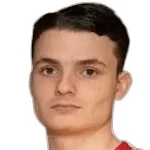 D. Salčinović
