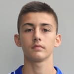 T. Selimi