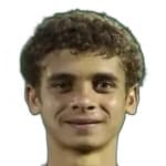H. Abdelkarim