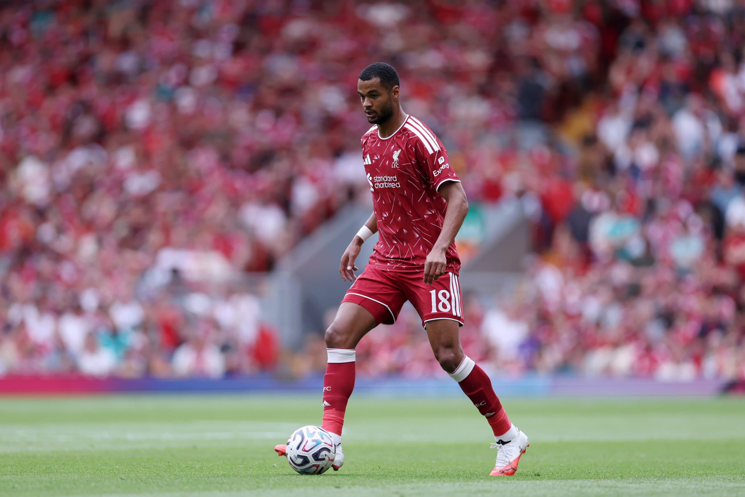 Tottenham Hotspur Are In Concrete Talks To Sign This Liverpool Winger: Good Option For De Zerbi?